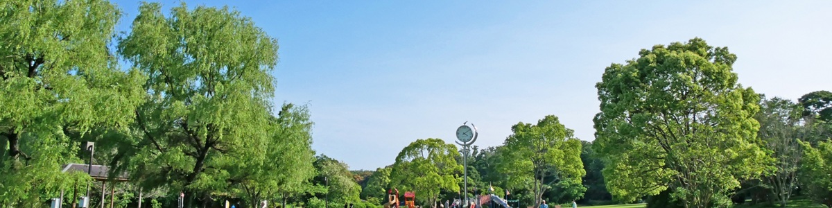 五月（1200×300）.jpg